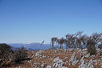 �X�܃C���[�W